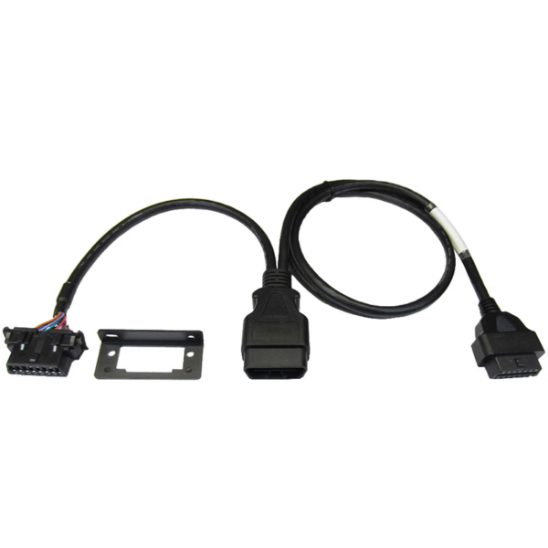 Y-Cable 12"/48"