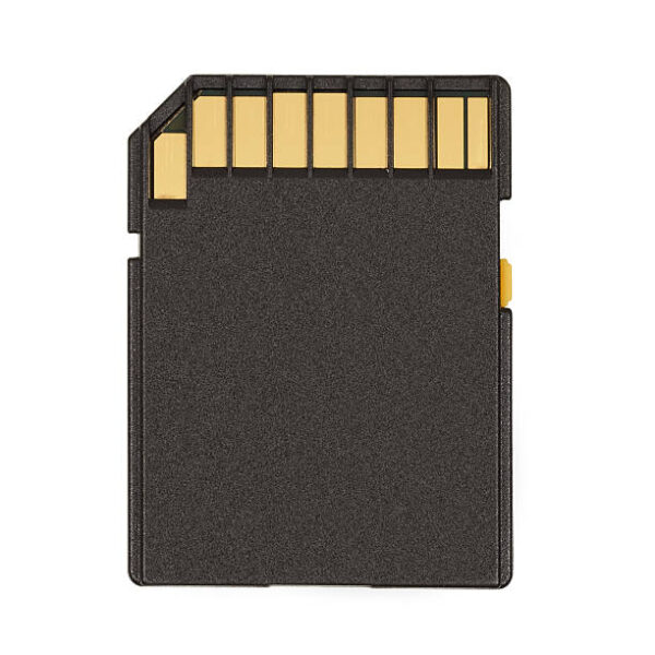 SD Card